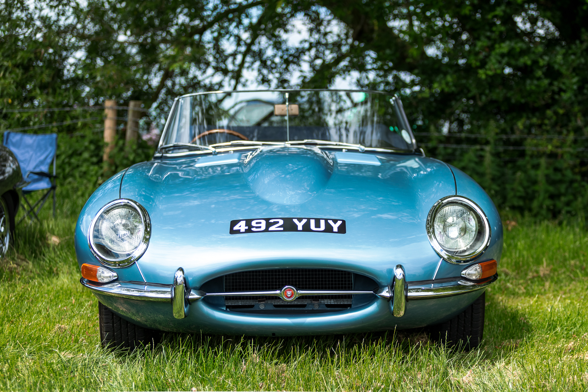 Horses on a landscap